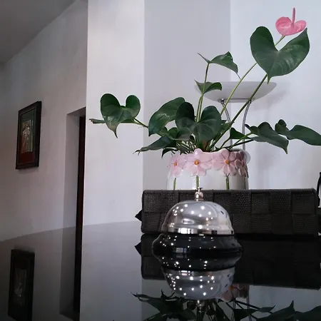 Отель Le Rose 2*